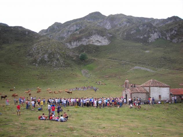 Arcenorio